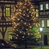 p1250011_bearbeitet-2